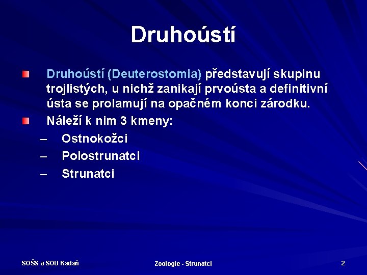 Druhoústí (Deuterostomia) představují skupinu trojlistých, u nichž zanikají prvoústa a definitivní ústa se prolamují