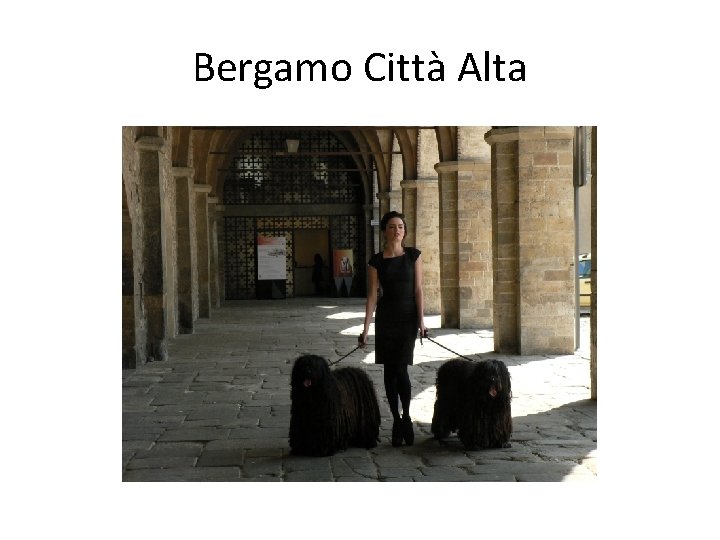 Bergamo Città Alta 