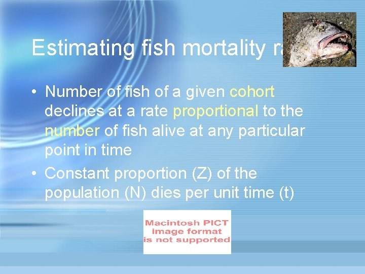 Estimating fish mortality rates • Number of fish of a given cohort declines at