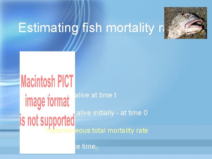 Estimating fish mortality rates Number alive at time t Number alive initially - at