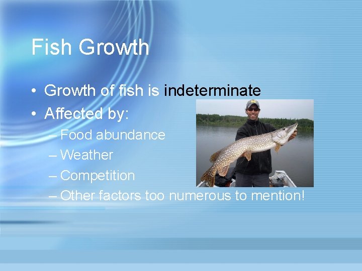 Fish Growth • Growth of fish is indeterminate • Affected by: – Food abundance