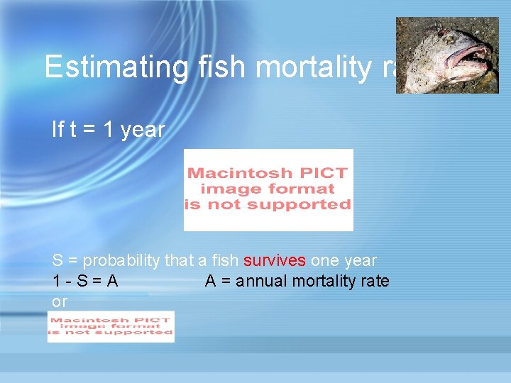 Estimating fish mortality rates If t = 1 year S = probability that a