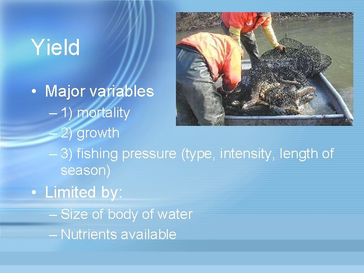 Yield • Major variables – 1) mortality – 2) growth – 3) fishing pressure