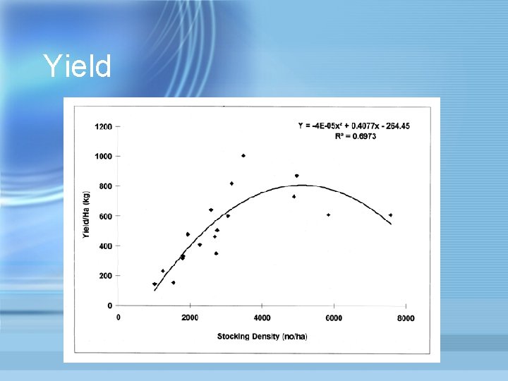 Yield 