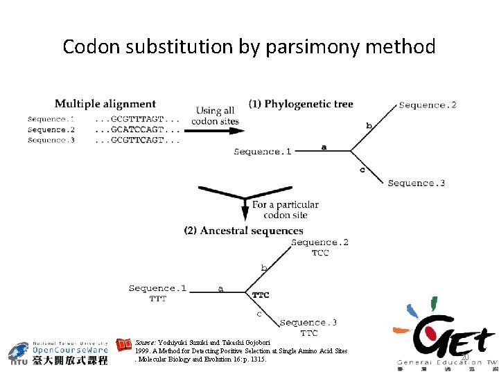 Codon substitution by parsimony method Source: Yoshiyuki Suzuki and Takashi Gojobori 1999. A Method