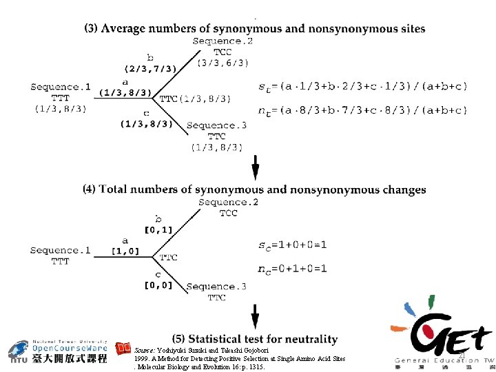 Source: Yoshiyuki Suzuki and Takashi Gojobori 1999. A Method for Detecting Positive Selection at