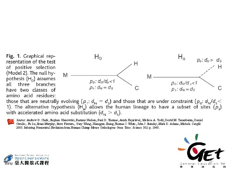 Source: Andrew G. Clark, Stephen Glanowski, Rasmus Nielsen, Paul D. Thomas, Anish Kejariwal, Melissa