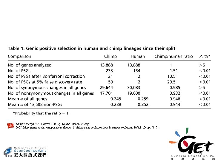 Source: Margaret A. Bakewell, Peng Shi, and, Jianzhi Zhang 2007. More genes underwent positive