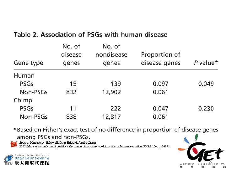 Source: Margaret A. Bakewell, Peng Shi, and, Jianzhi Zhang 2007. More genes underwent positive