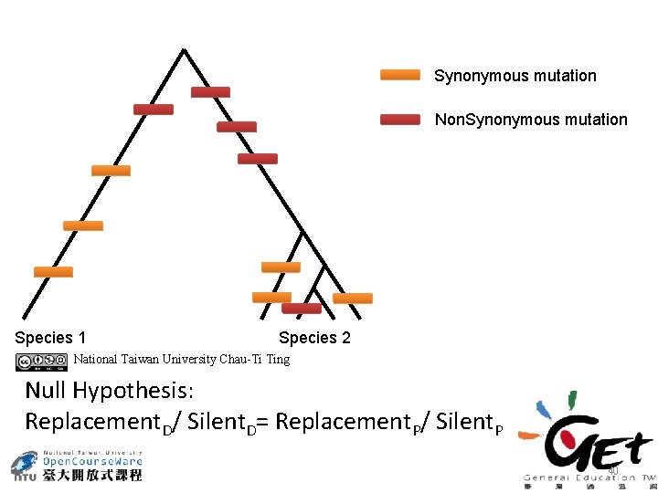 Synonymous mutation Non. Synonymous mutation Species 1 Species 2 National Taiwan University Chau-Ti Ting