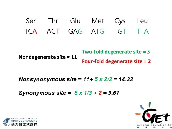 Ser Thr Glu Met Cys Leu TCA ACT GAG ATG TGT TTA Nondegenerate site