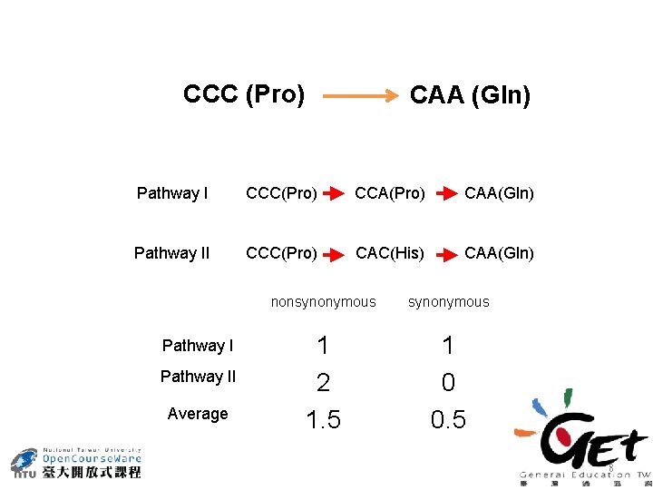 CCC (Pro) CAA (Gln) Pathway I CCC(Pro) CCA(Pro) CAA(Gln) Pathway II CCC(Pro) CAC(His) CAA(Gln)