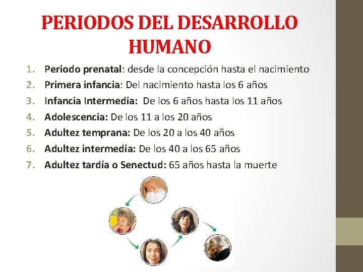 PERIODOS DEL DESARROLLO HUMANO 1. 2. 3. 4. 5. 6. 7. Periodo prenatal: desde