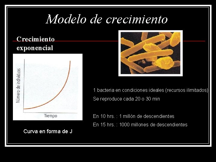 Modelo de crecimiento Crecimiento exponencial 1 bacteria en condiciones ideales (recursos ilimitados) Se reproduce