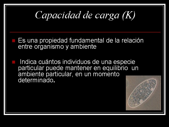 Capacidad de carga (K) n Es una propiedad fundamental de la relación entre organismo