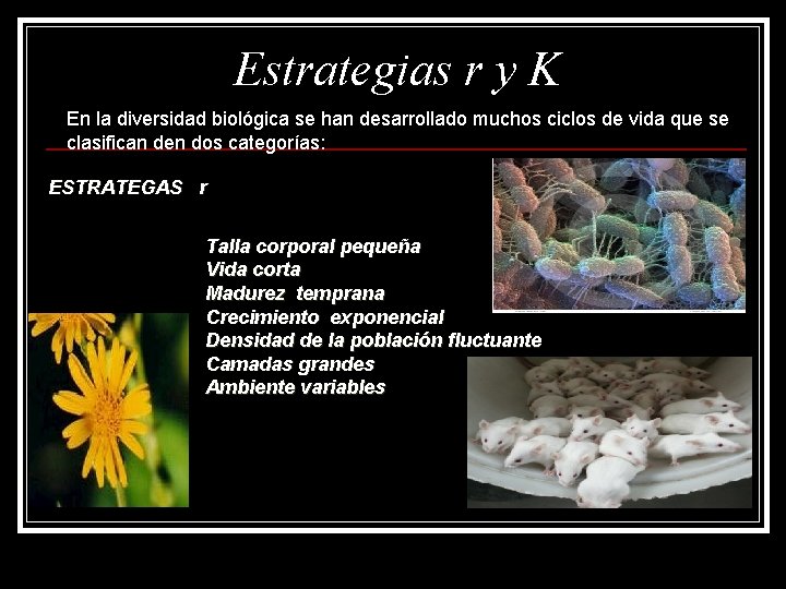 Estrategias r y K En la diversidad biológica se han desarrollado muchos ciclos de