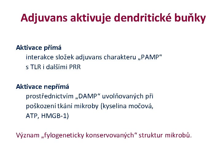 Adjuvans aktivuje dendritické buňky Aktivace přímá interakce složek adjuvans charakteru „PAMP“ s TLR Adjuvans aktivuje dendritické buňky Aktivace přímá interakce složek adjuvans charakteru „PAMP“ s TLR