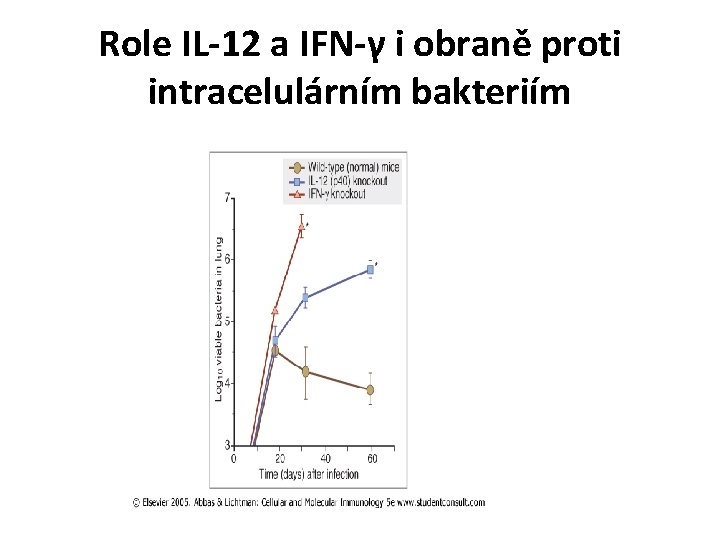 Role IL-12 a IFN-γ i obraně proti intracelulárním bakteriím Role IL-12 a IFN-γ i obraně proti intracelulárním bakteriím