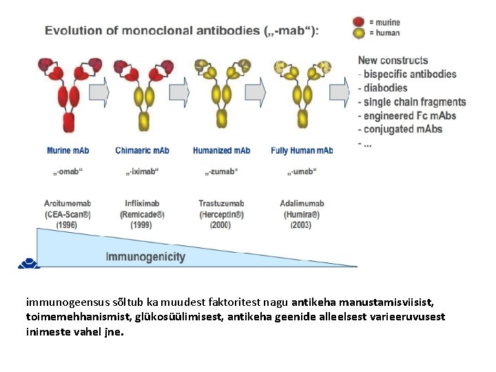 immunogeensus sõltub ka muudest faktoritest nagu antikeha manustamisviisist, toimemehhanismist, glükosüülimisest, antikeha geenide alleelsest varieeruvusest