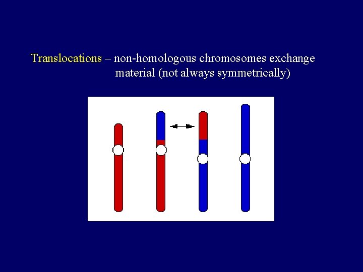 Translocations – non-homologous chromosomes exchange material (not always symmetrically) 