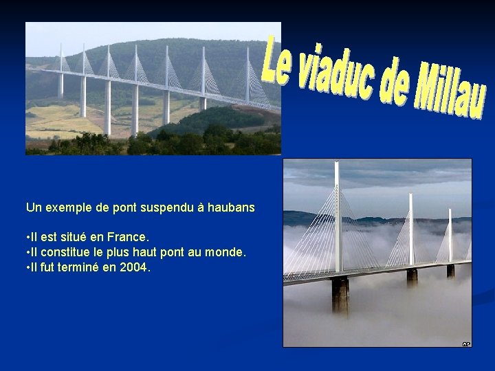 Un exemple de pont suspendu à haubans • Il est situé en France. •