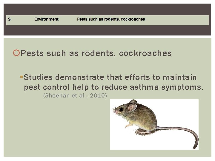  Pests such as rodents, cockroaches § Studies demonstrate that efforts to maintain pest