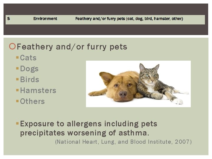 Feathery and/or furry pets § Cats § Dogs § Birds § Hamsters § Feathery and/or furry pets § Cats § Dogs § Birds § Hamsters §