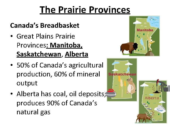 The Prairie Provinces Canada’s Breadbasket • Great Plains Prairie Provinces: Manitoba, Saskatchewan, Alberta •
