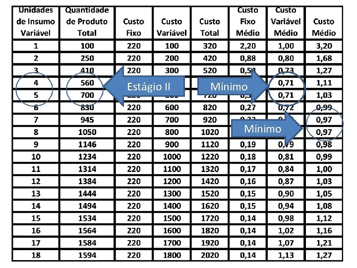 Estágio II Mínimo 