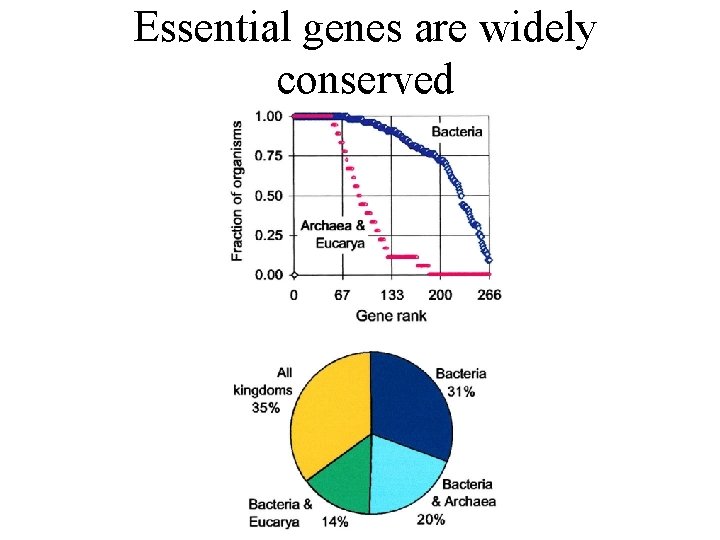 Essential genes are widely conserved 