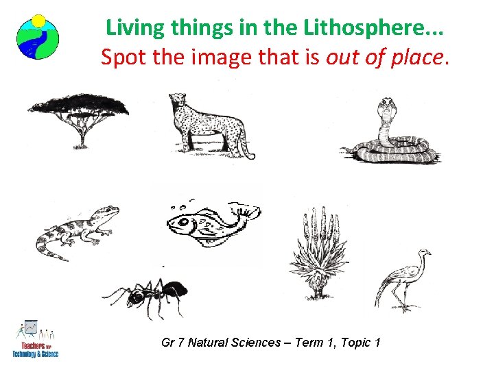 Living things in the Lithosphere. . . Spot the image that is out of