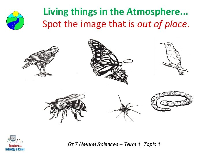 Living things in the Atmosphere. . . Spot the image that is out of