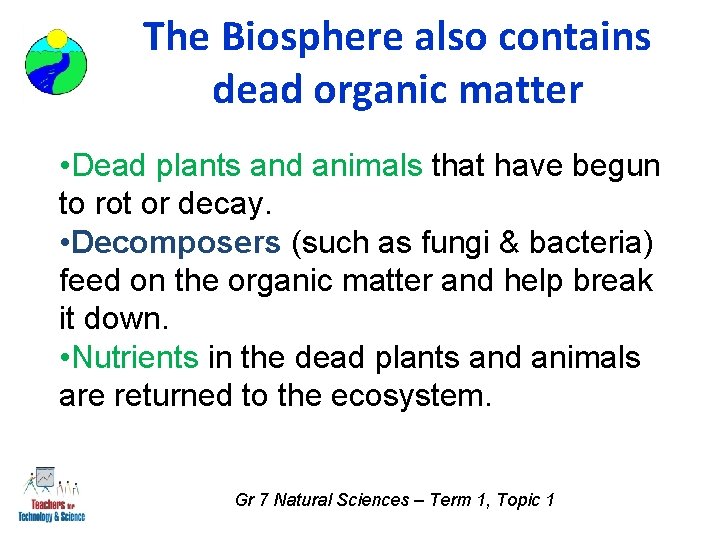 The Biosphere also contains dead organic matter • Dead plants and animals that have