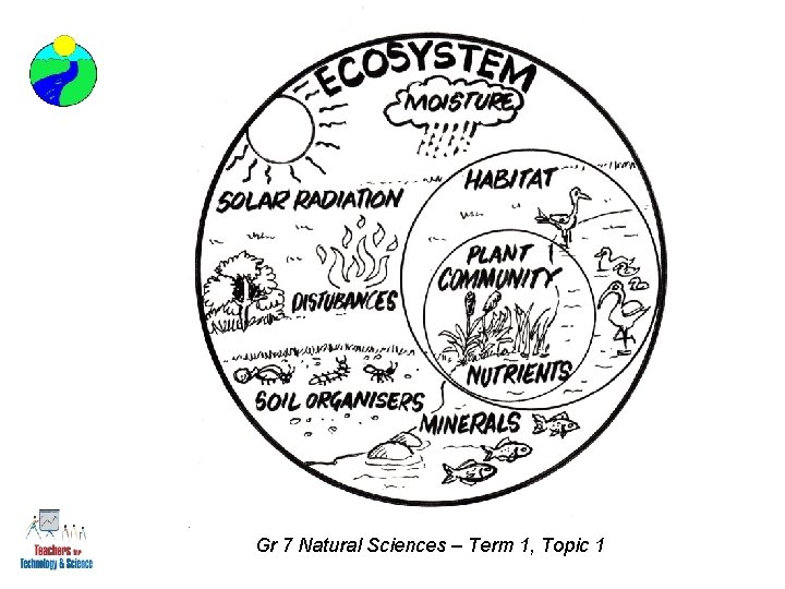 Gr 7 Natural Sciences – Term 1, Topic 1 