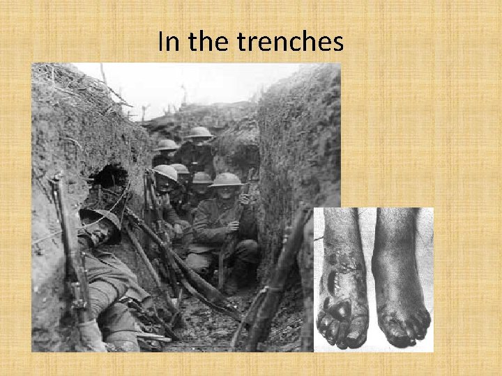 In the trenches 