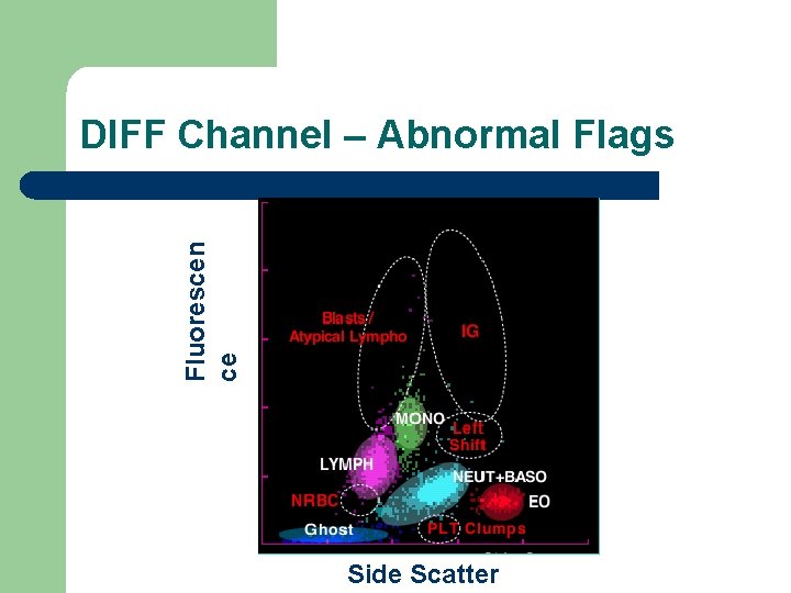 Fluorescen ce DIFF Channel – Abnormal Flags Side Scatter 