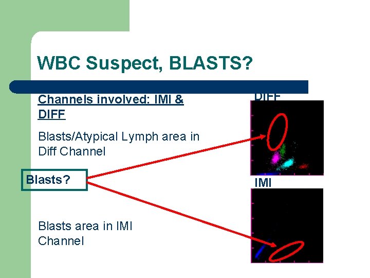 WBC Suspect, BLASTS? Channels involved: IMI & DIFF Blasts/Atypical Lymph area in Diff Channel
