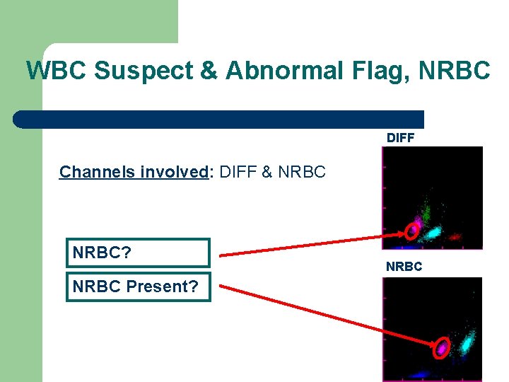 WBC Suspect & Abnormal Flag, NRBC DIFF Channels involved: DIFF & NRBC? NRBC Present?