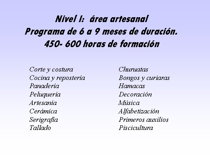 Nivel I: área artesanal Programa de 6 a 9 meses de duración. 450 -