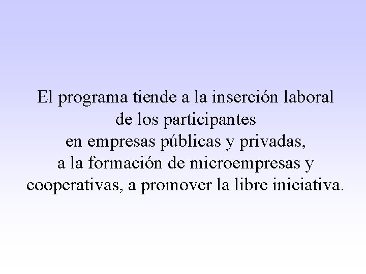 El programa tiende a la inserción laboral de los participantes en empresas públicas y