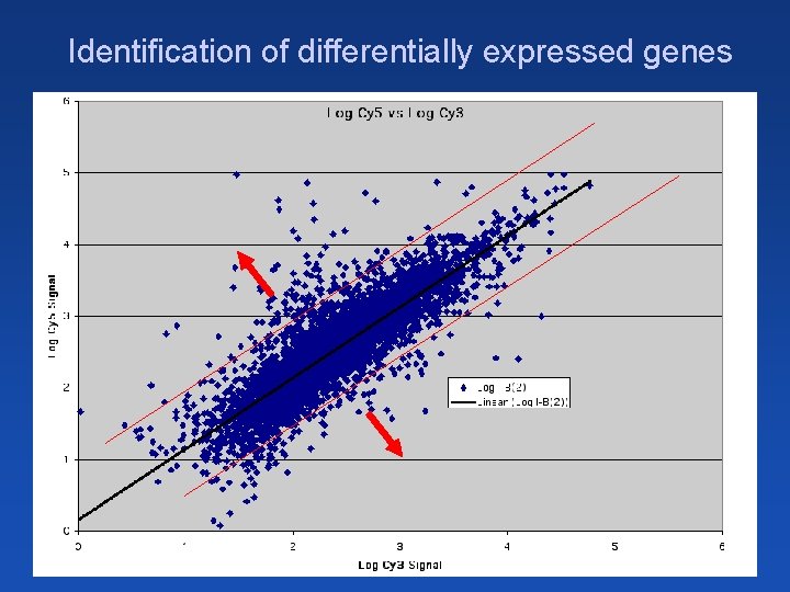 Identification of differentially expressed genes 