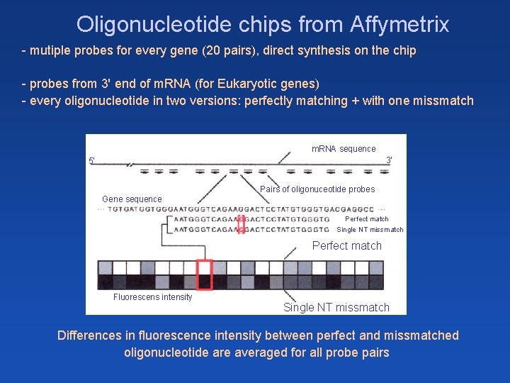 Oligonucleotide chips from Affymetrix - mutiple probes for every gene (20 pairs), direct synthesis