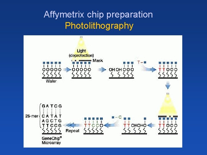 Affymetrix chip preparation Photolithography 