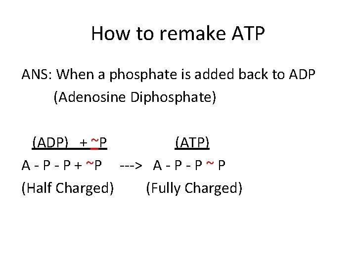 How to remake ATP ANS: When a phosphate is added back to ADP (Adenosine