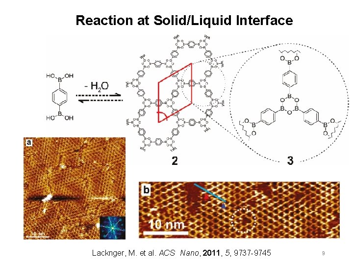 Reaction at Solid/Liquid Interface Lacknger, M. et al. ACS　Nano, 2011, 5, 9737 -9745 9