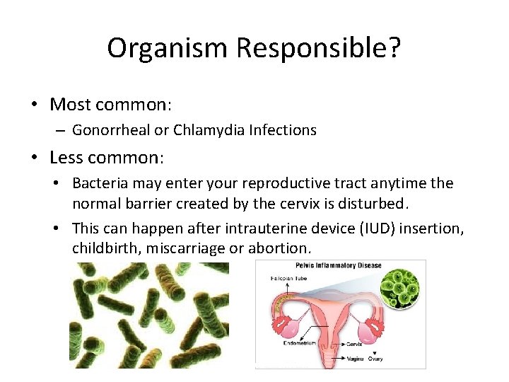 Organism Responsible? • Most common: – Gonorrheal or Chlamydia Infections • Less common: •