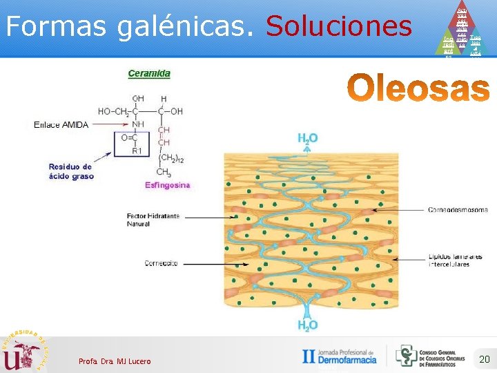 Formas galénicas. Soluciones Profa. Dra. MJ Lucero Acti vos cos Prod méti ucto cos