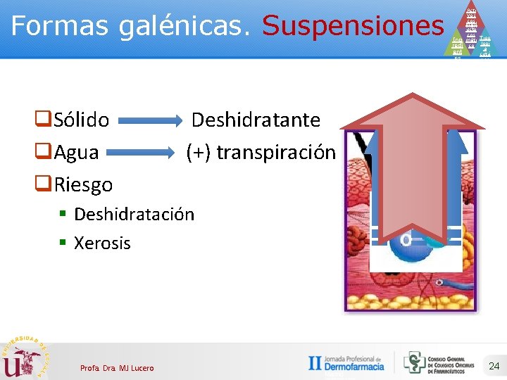 Formas galénicas. Suspensiones q. Sólido q. Agua q. Riesgo Acti vos cos Prod méti