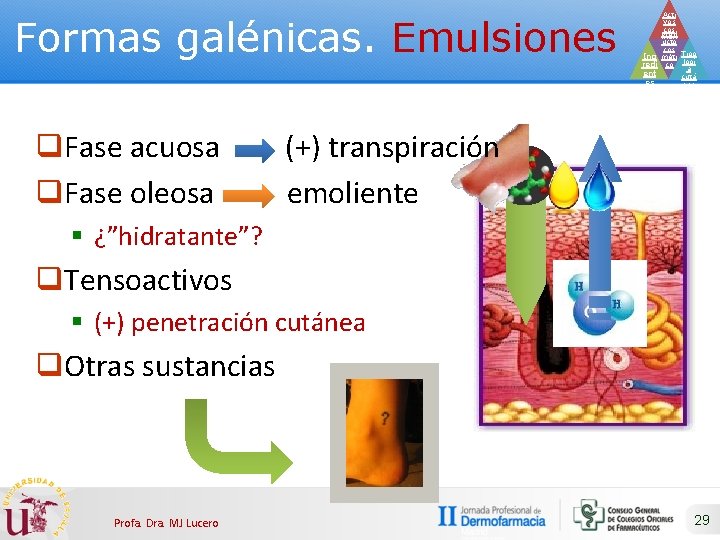 Formas galénicas. Emulsiones q. Fase acuosa q. Fase oleosa Acti vos cos Prod méti
