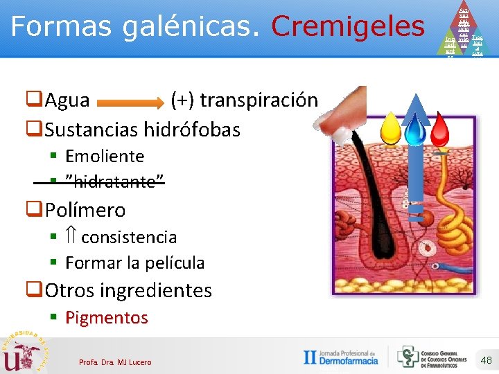 Formas galénicas. Cremigeles Acti vos cos Prod méti ucto cos Ing méti Tipo redi